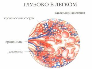 Лечение легких Заболевание туберкулома